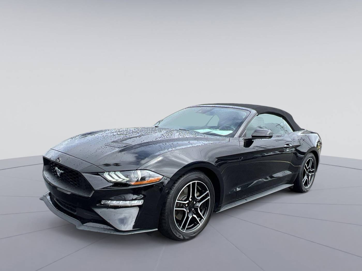 2023 Ford Mustang EcoBoost Premium — Convertible — 50,985 mi — Richmond, VA