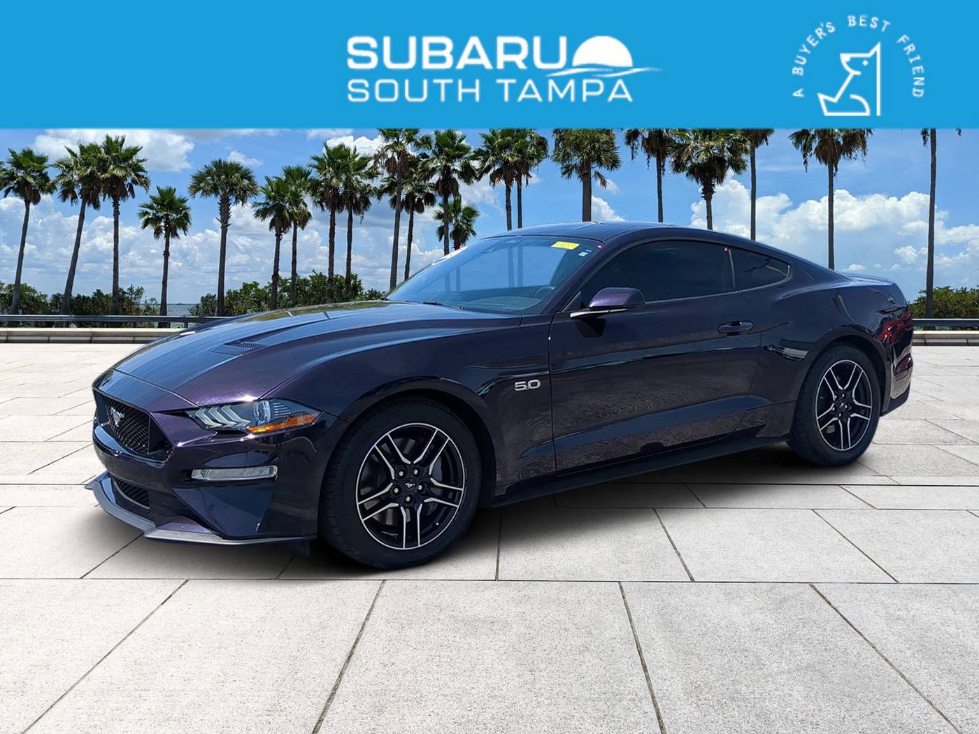 2023 Ford Mustang GT — Coupe — 24,812 mi — Tampa, FL