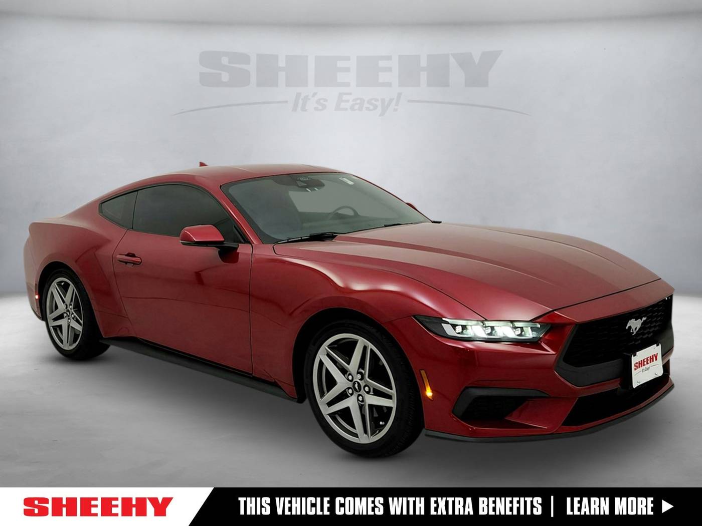 2024 Ford Mustang EcoBoost Premium — Coupe — 9,625 mi — Laurel, MD