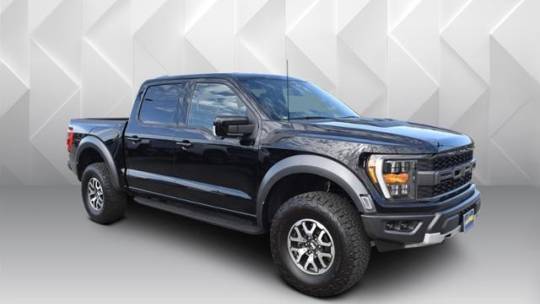 Raptor For Sale In Los Angeles