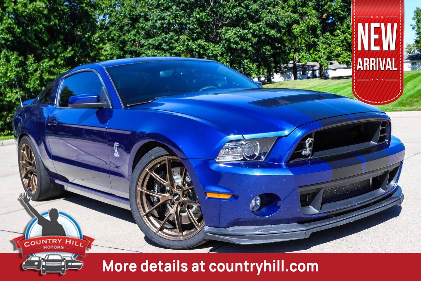2014 Ford Mustang Shelby GT500