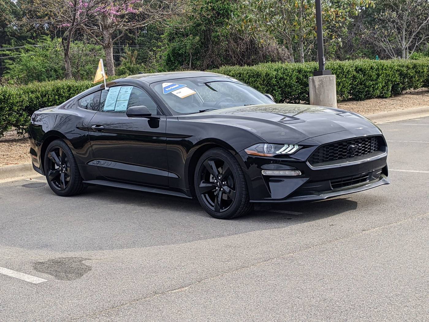 2022 Ford Mustang EcoBoost — Coupe — 59,312 mi — Apex, NC