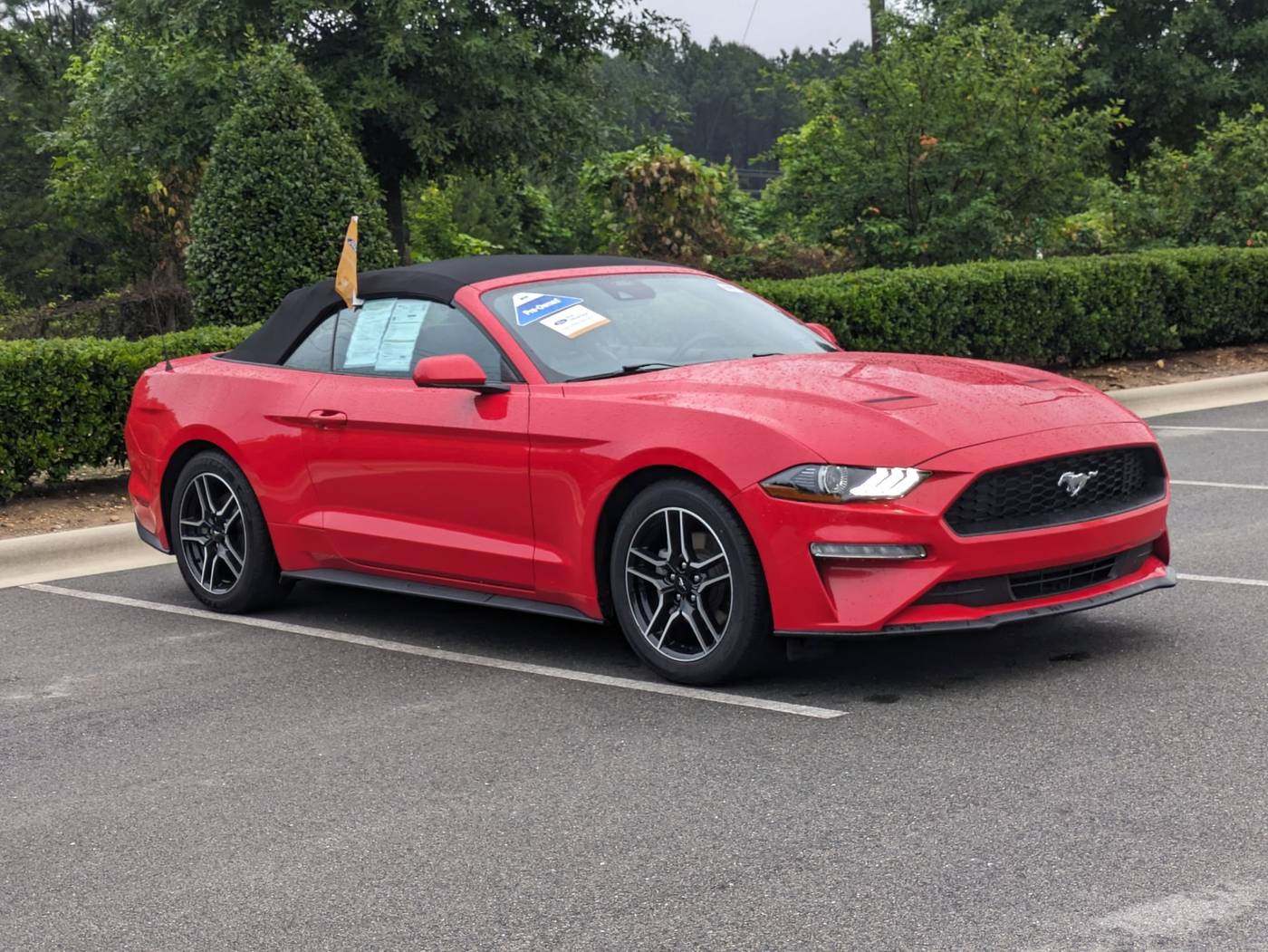 2023 Ford Mustang EcoBoost Premium — Convertible — 50,697 mi — Apex, NC