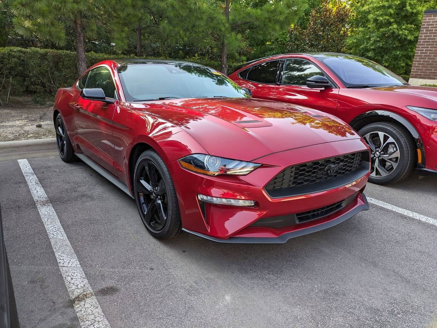 2022 Ford Mustang EcoBoost — Coupe — 26,654 mi — Apex, NC