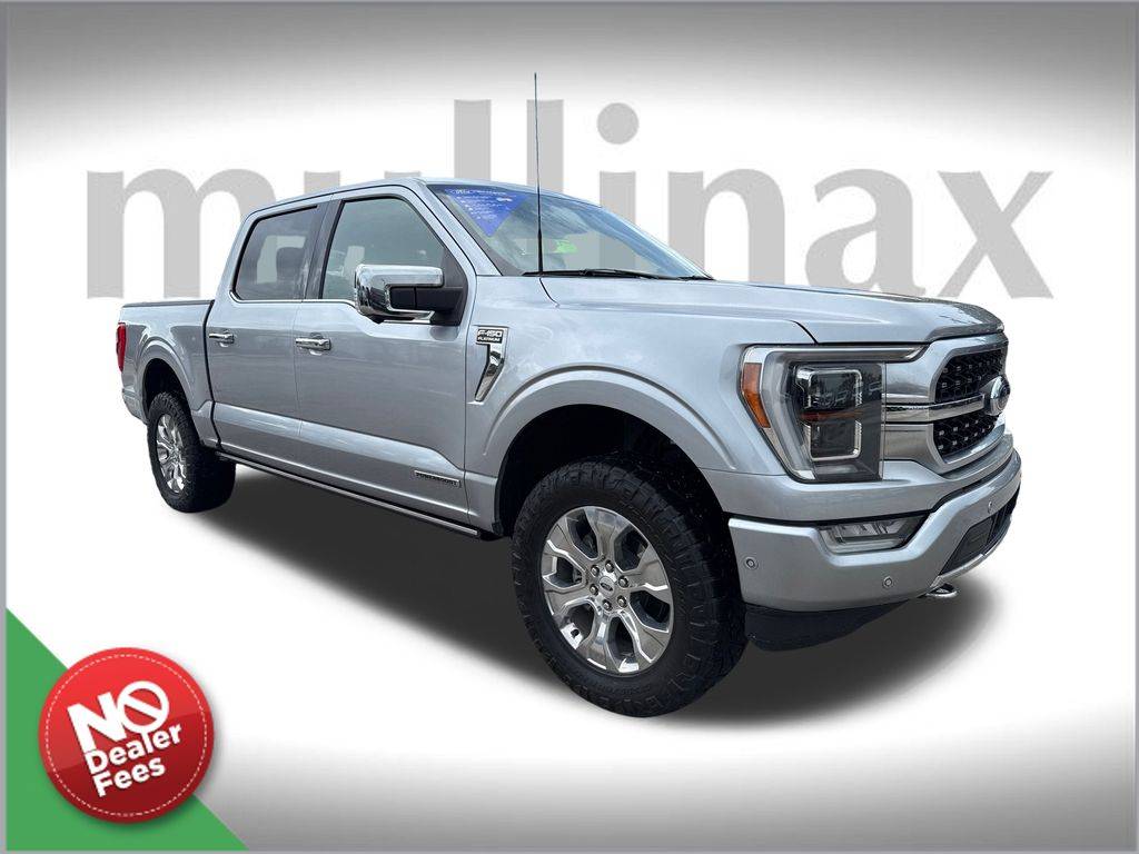 2022 Ford F-150 Platinum — Pickup Truck — 60,617 mi — LAKE PARK, FL