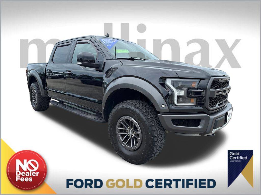 2020 Ford F-150 Raptor — Pickup Truck — 54,664 mi — LAKE PARK, FL