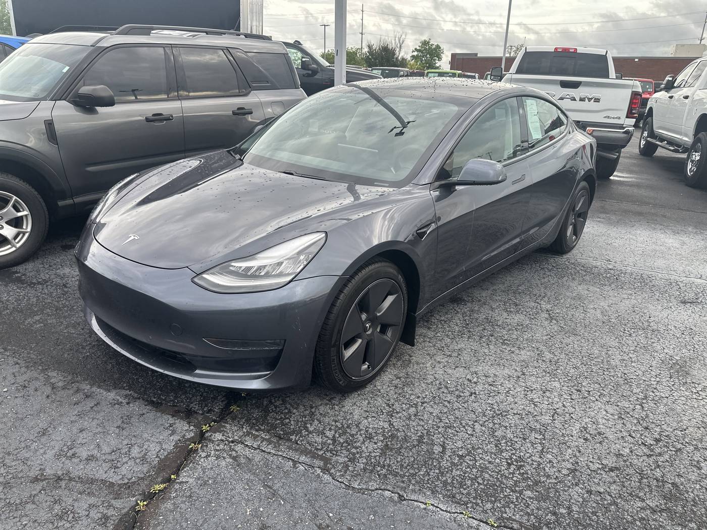 2021 Tesla Model 3 Standard Range Plus — Sedan — 53,493 mi — Springfield, TN