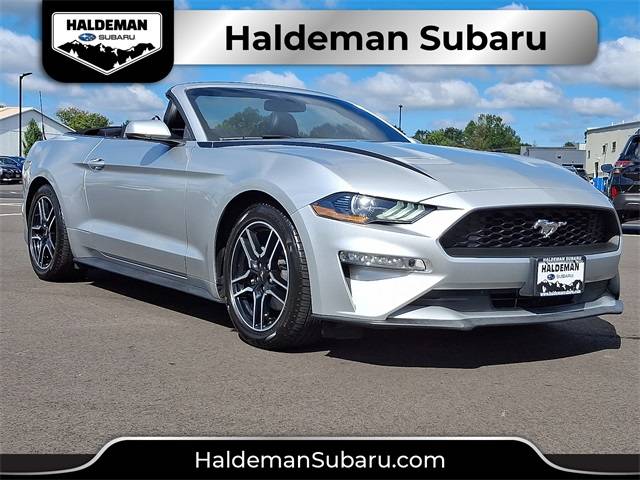 2019 Ford Mustang EcoBoost Premium — Convertible — 100,640 mi — Robbinsville, NJ