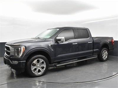 2021 Ford F-150 Platinum — Pickup Truck — 31,823 mi — Charlotte, NC