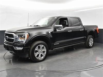 2023 Ford F-150 Platinum — Pickup Truck — 12,852 mi — Charlotte, NC