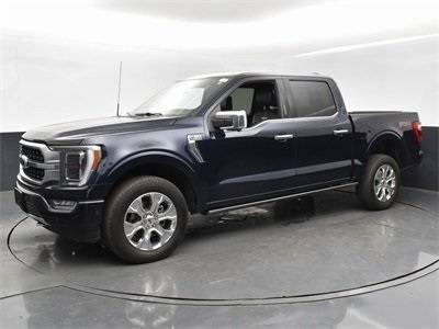 2023 Ford F-150 Platinum — Pickup Truck — 32,896 mi — Charlotte, NC