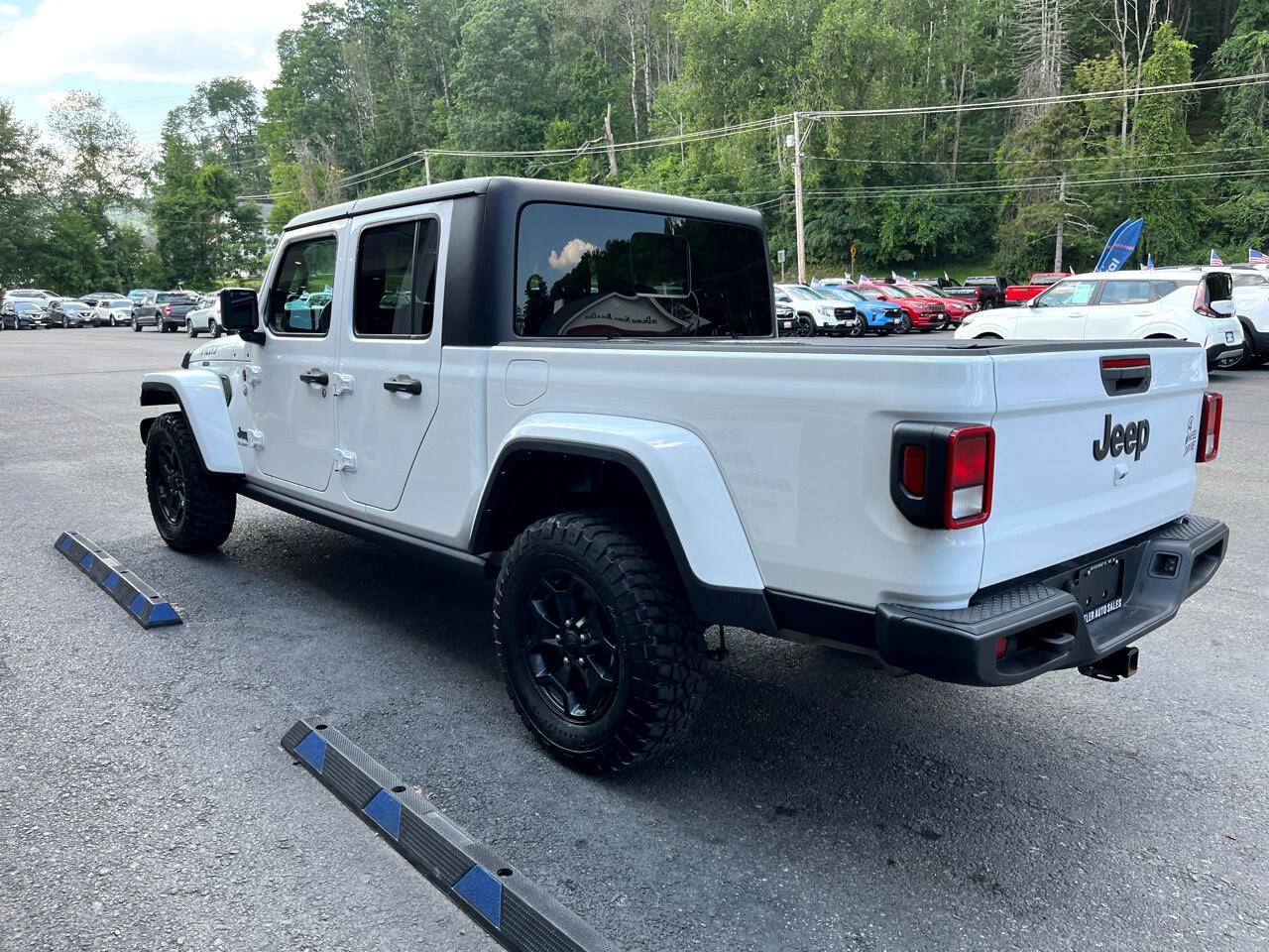 Thumbnail 5