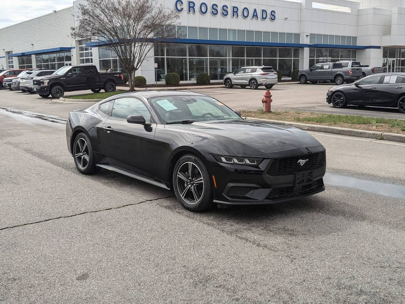 2024 Ford Mustang EcoBoost Premium — Coupe — 361 mi — Prince George, VA
