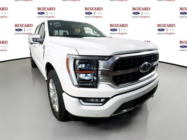 2021 Ford F-150 Platinum — Pickup Truck — 58,735 mi — Saint Augustine, FL