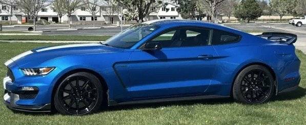 2019 Ford Mustang Shelby GT350R — Coupe — 12,000 mi — Carrollton, TX