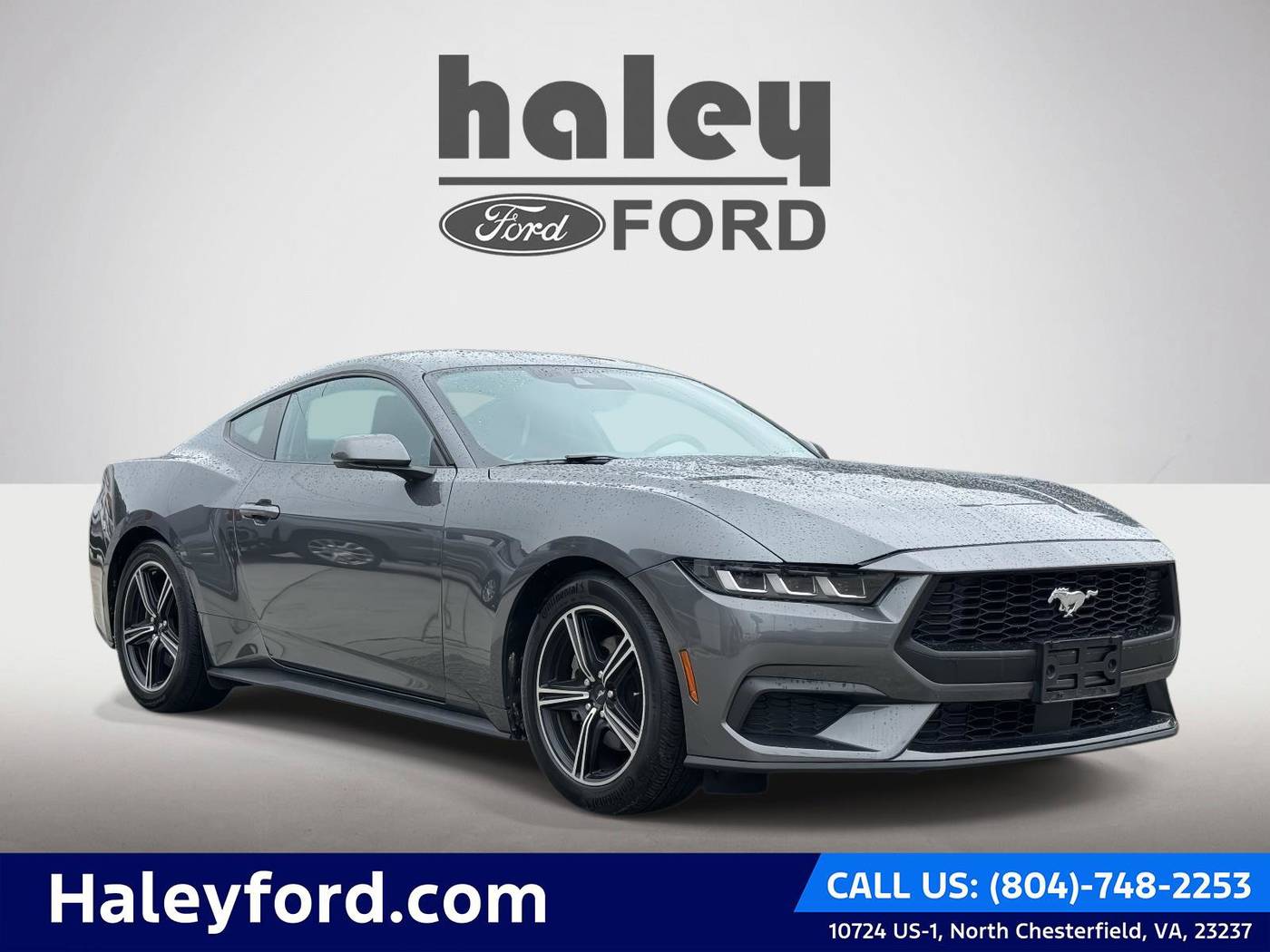 2024 Ford Mustang EcoBoost Premium — Coupe — 13,012 mi — Richmond, VA