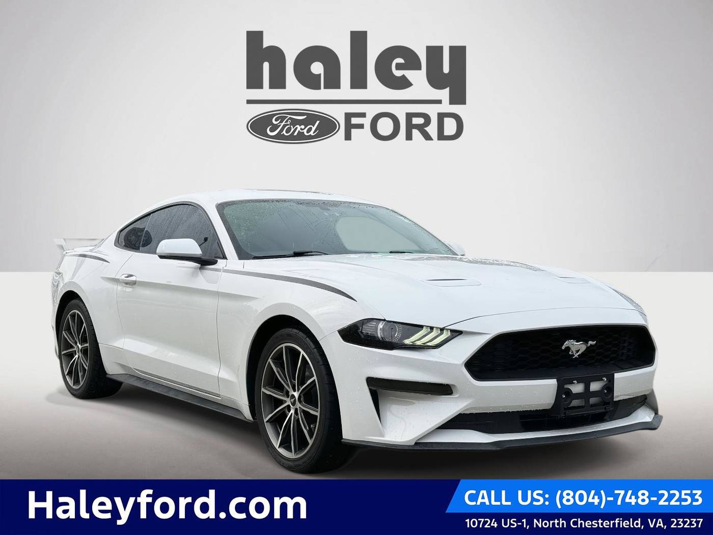2019 Ford Mustang EcoBoost — Coupe — 28,019 mi — Richmond, VA