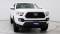 2019 Toyota Tacoma in Federal Heights, CO 5 - Open Gallery