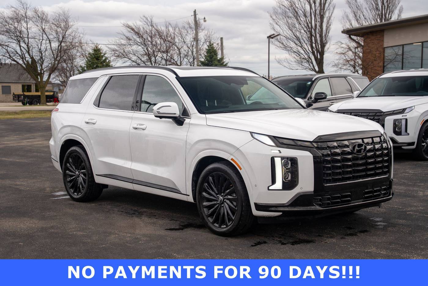 2024 Hyundai Palisade Calligraphy Night Edition — SUV — 36,676 mi — Mount Pleasant, WI