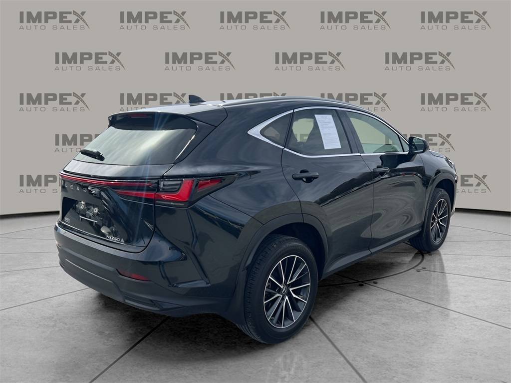 Thumbnail 5