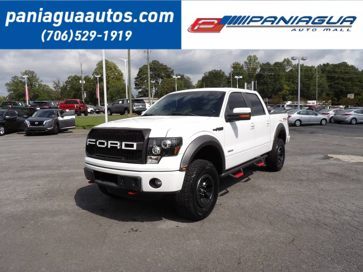 2011 Ford F-150 FX4 — Pickup Truck — 190,412 mi — Dalton, GA
