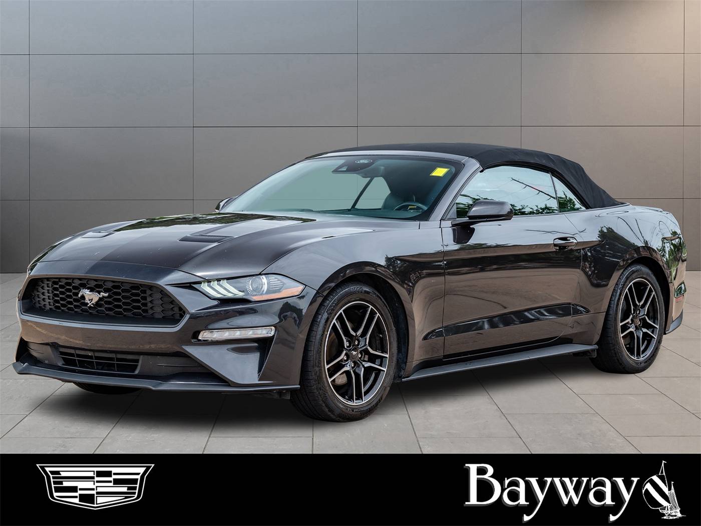 2023 Ford Mustang EcoBoost Premium — Convertible — 45,394 mi — Houston, TX