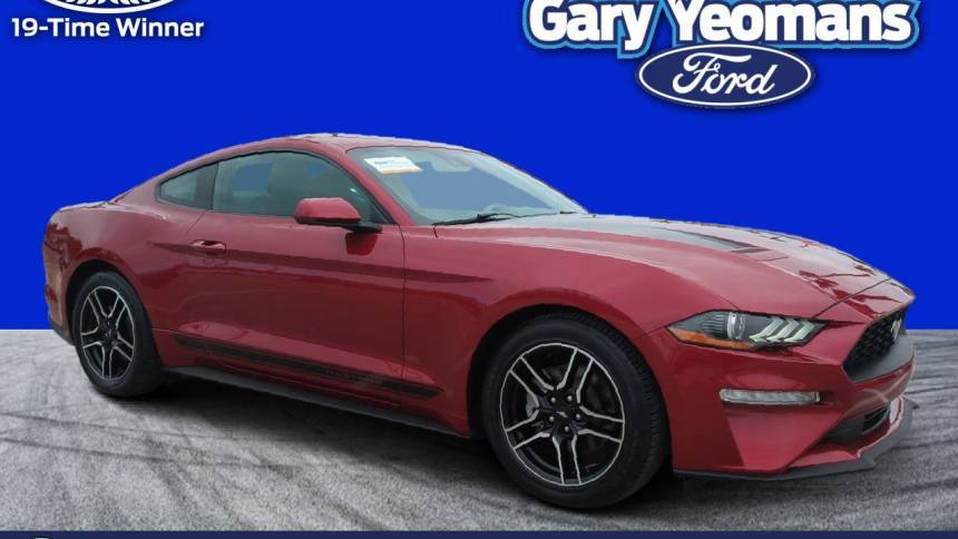 2021 Ford Mustang EcoBoost — Coupe — 6,742 mi — Daytona Beach, FL