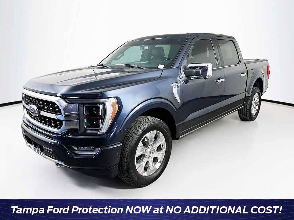 2021 Ford F-150 Platinum — Pickup Truck — 67,375 mi — Tampa, FL