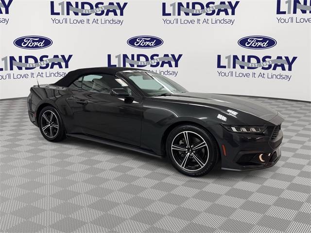 2024 Ford Mustang EcoBoost Premium — Convertible — 41,448 mi — Wheaton, MD