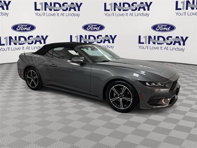 2024 Ford Mustang EcoBoost — Convertible — 25,091 mi — Wheaton, MD