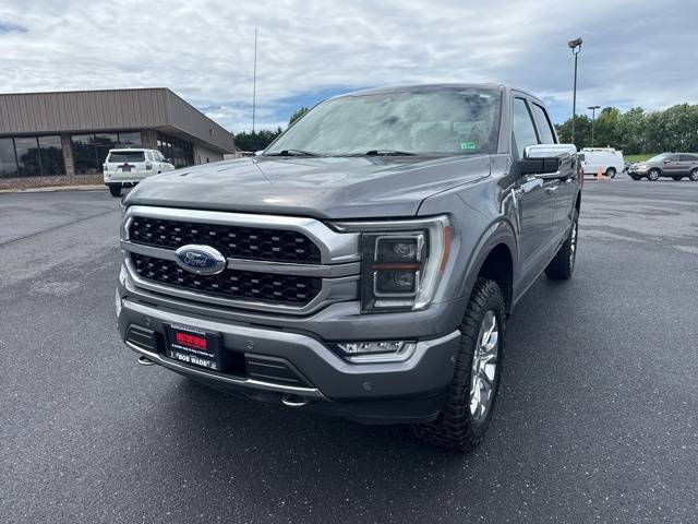 2021 Ford F-150 Platinum — Pickup Truck — 74,973 mi — Harrisonburg, VA