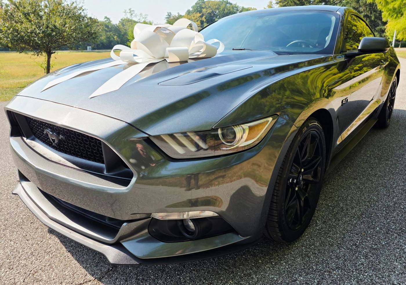 2017 Ford Mustang GT Premium — Coupe — 83,935 mi — Indianapolis, IN