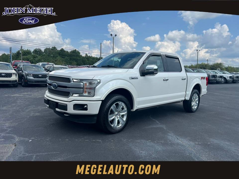 2019 Ford F-150 Platinum — Pickup Truck — 75,991 mi — Cleveland, GA