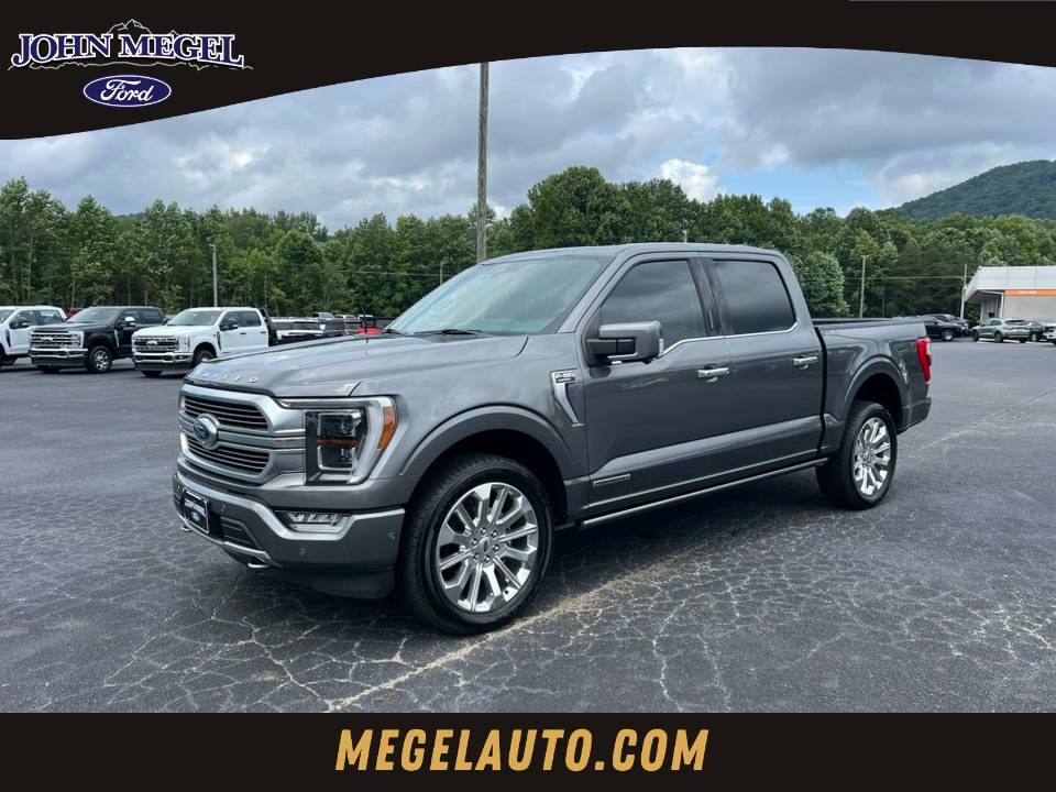 2022 Ford F-150 Limited — Pickup Truck — 54,800 mi — Cleveland, GA
