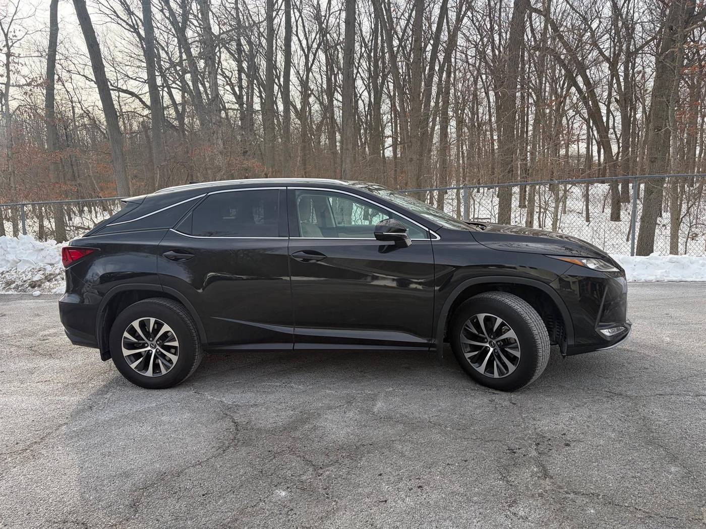 2022 Lexus RX RX 350