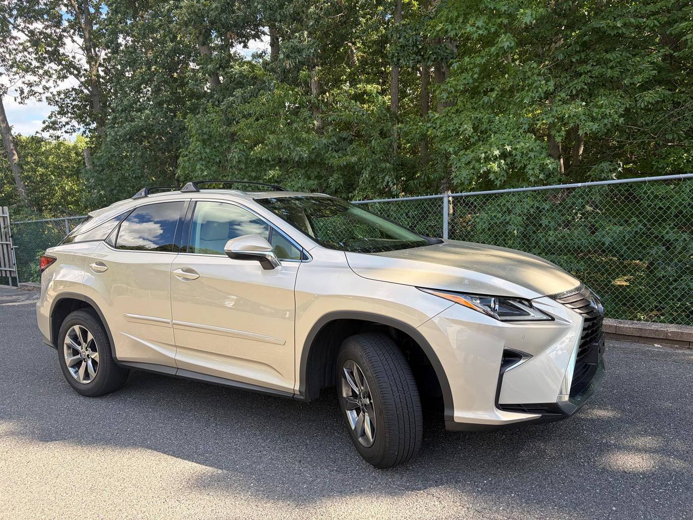 2019 Lexus RX RX 350