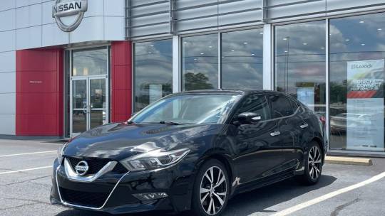 2017 maxima sv for sale