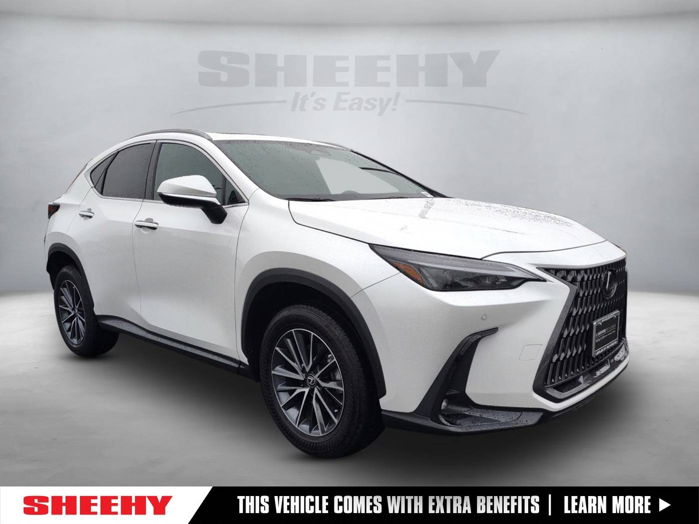 2025 Lexus NX NX 350 Premium — SUV — 9,081 mi — Richmond, VA