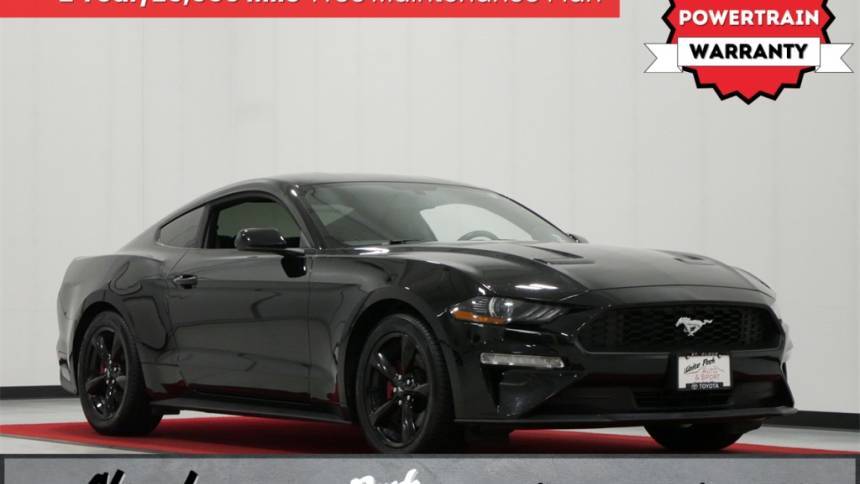 2019 Ford Mustang EcoBoost — Coupe — 69,226 mi — Waite Park, MN