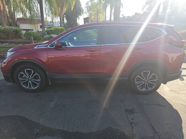 2022 Honda CR-V EX-L — SUV — 51,530 mi — Selma, CA