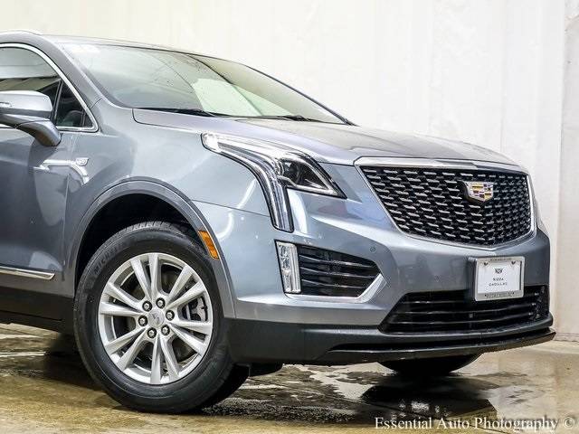 Thumbnail 5