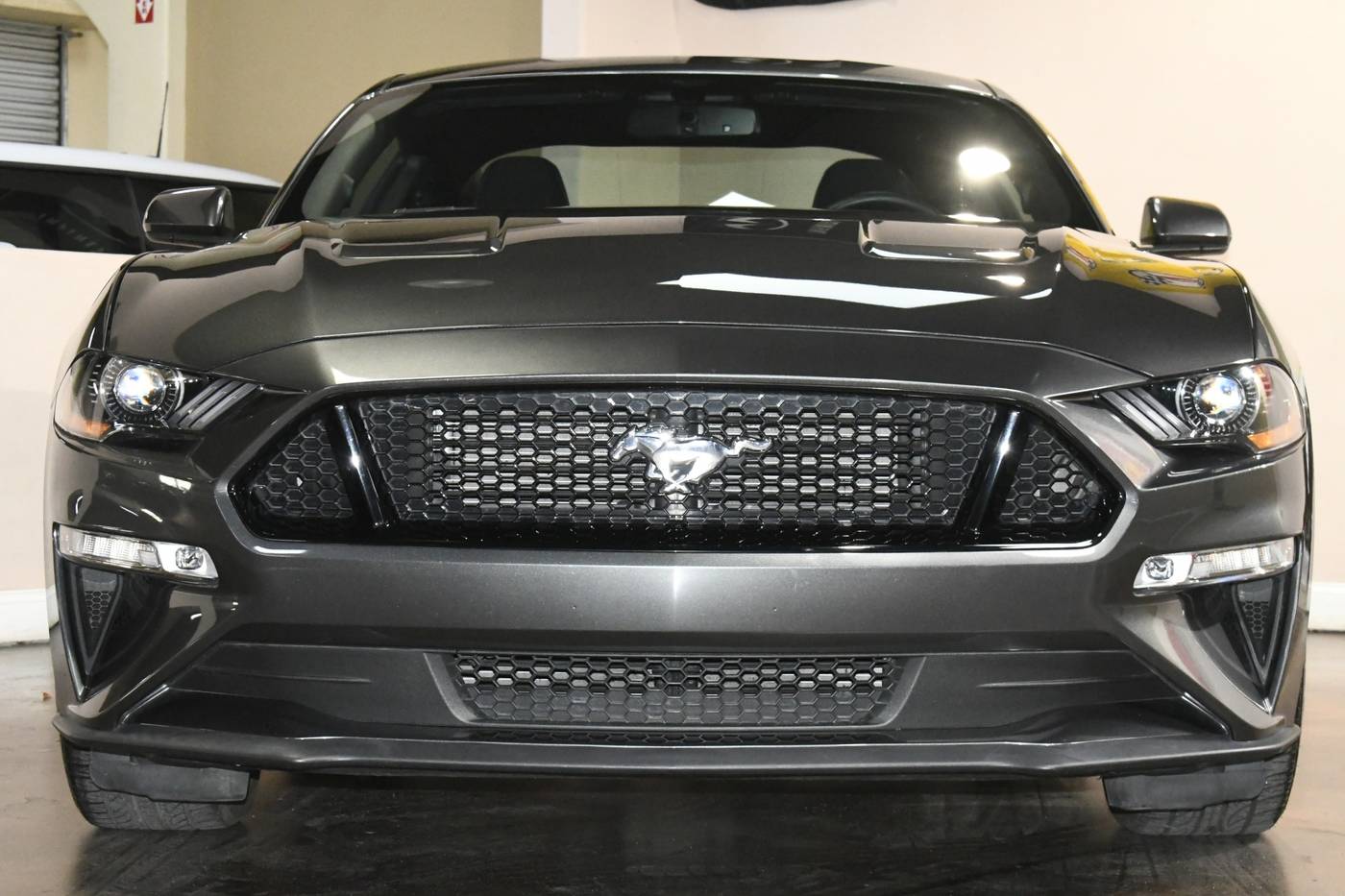 2019 Ford Mustang GT — Coupe — 10,914 mi — Tampa, FL