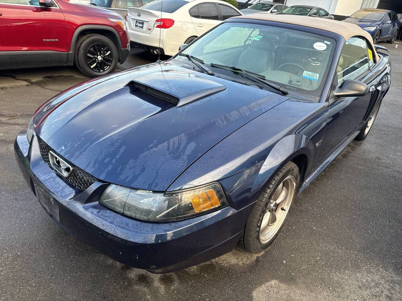 2003 Ford Mustang GT Deluxe — Convertible — 96,900 mi — lynnwood, WA