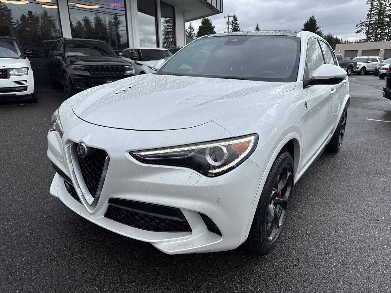 2019 Alfa Romeo Stelvio Quadrifoglio — SUV — 49,270 mi — lynnwood, WA