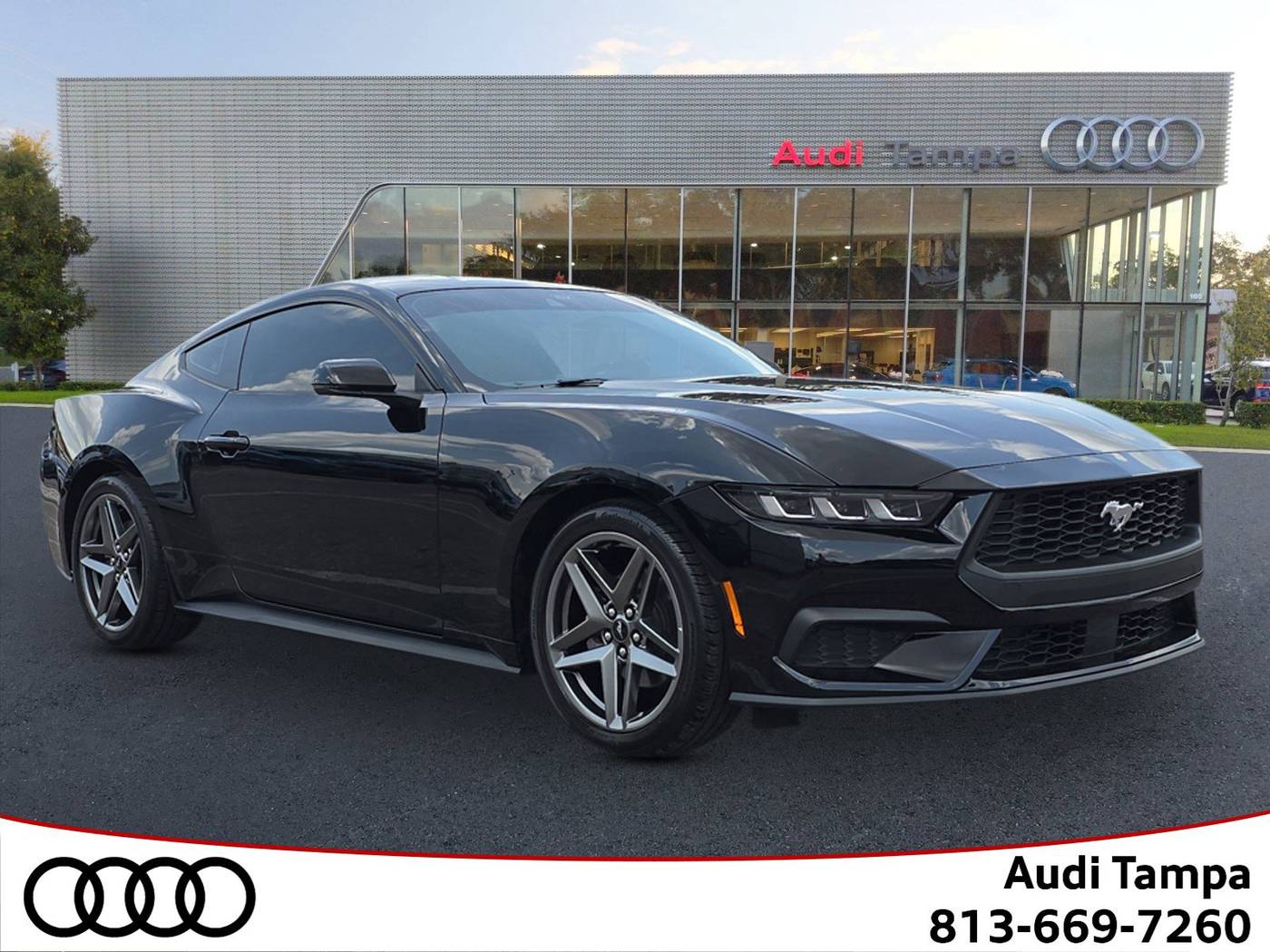 2024 Ford Mustang EcoBoost Premium — Coupe — 2,332 mi — Tampa, FL
