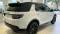 2024 Land Rover Discovery Sport in Tampa, FL 4 - Open Gallery