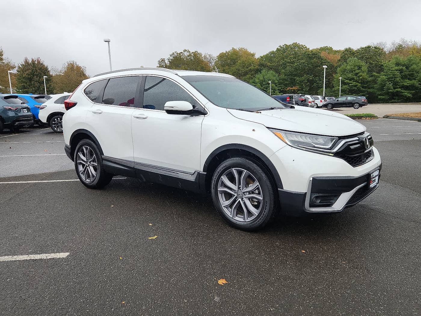 Thumbnail 4