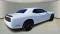2023 Dodge Challenger in Fort Pierce, FL 3 - Open Gallery