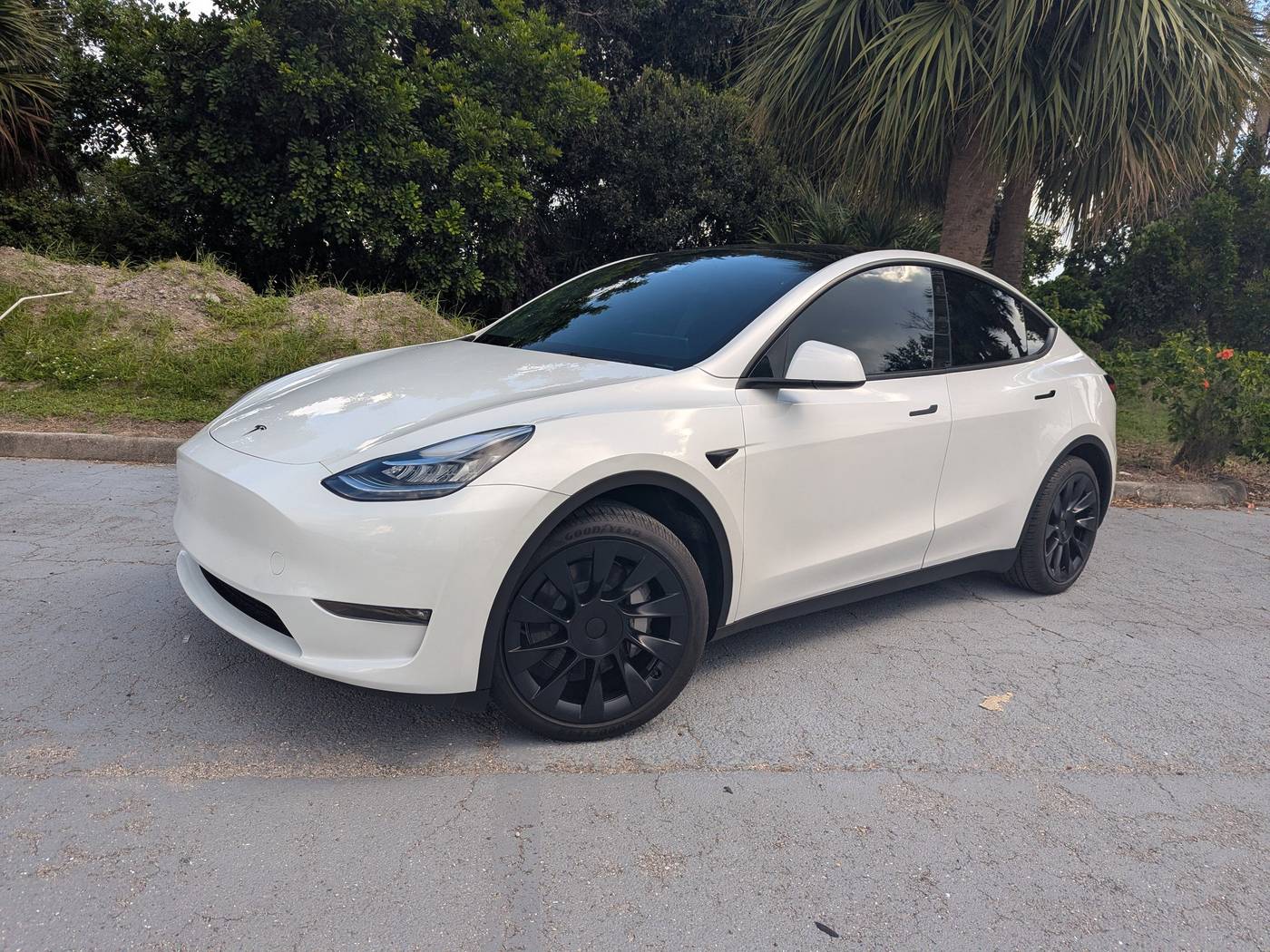 2023 Tesla Model Y Long Range — SUV — 14,246 mi — Sarasota, FL