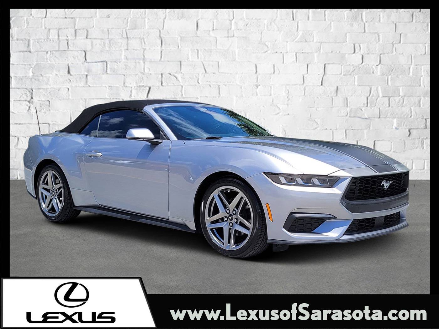 2024 Ford Mustang EcoBoost Premium — Convertible — 11,333 mi — Sarasota, FL